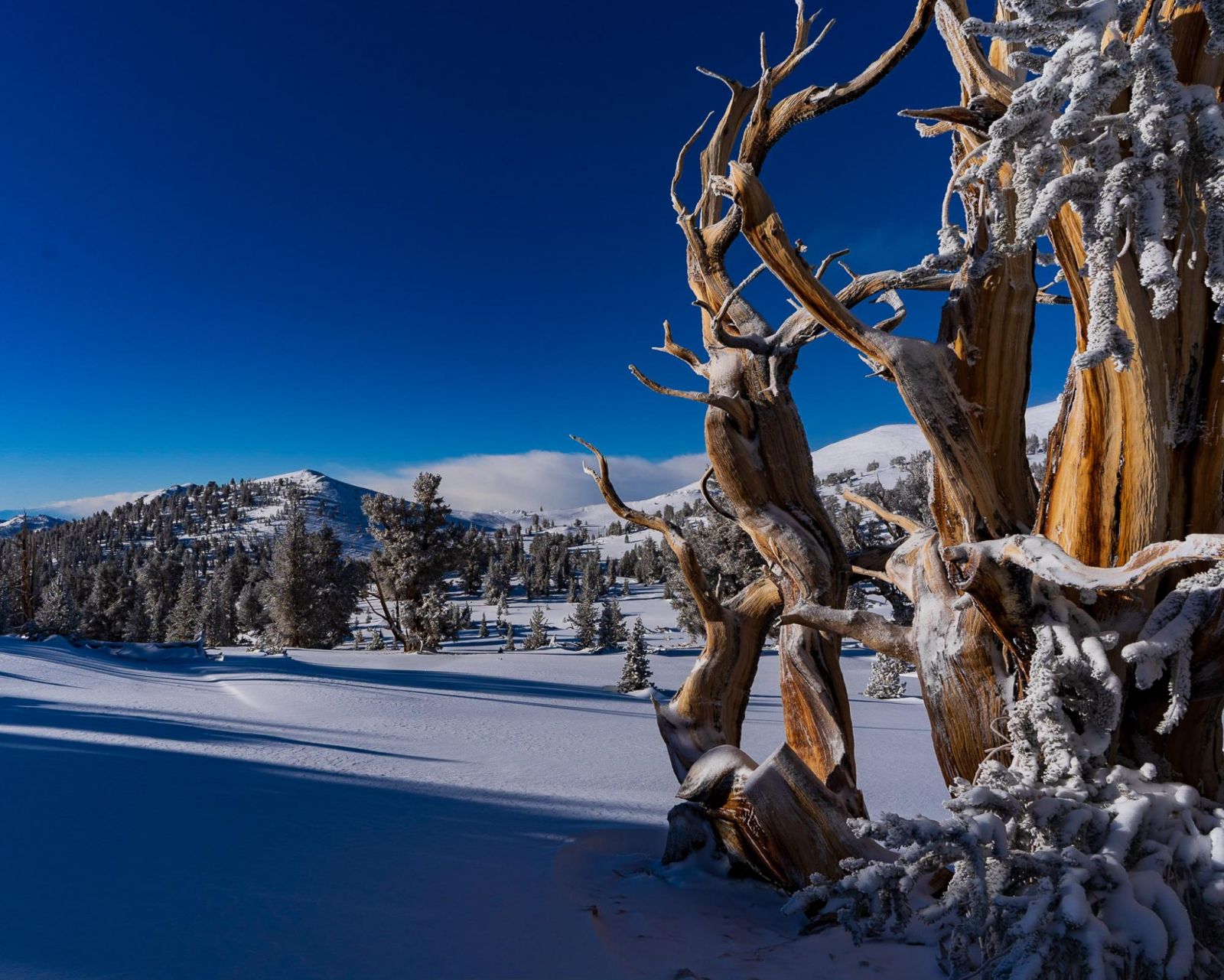 16 Best Travel Lenses for Nikon of 2022 (Buyer's Guide) Lightweight best lenses for travel destinations trip-horizon.info