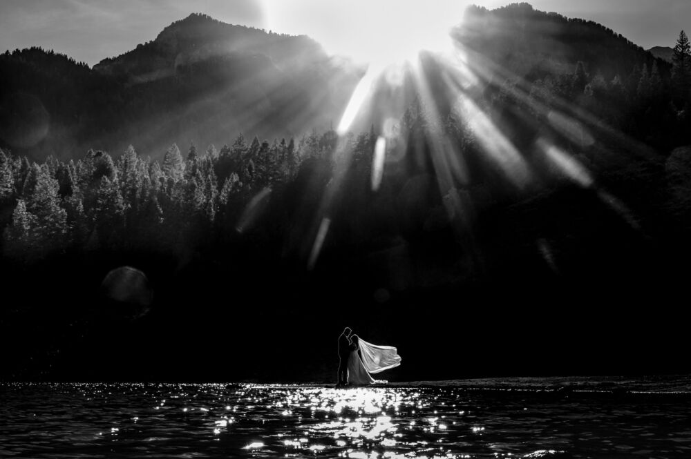 black and white sun flare