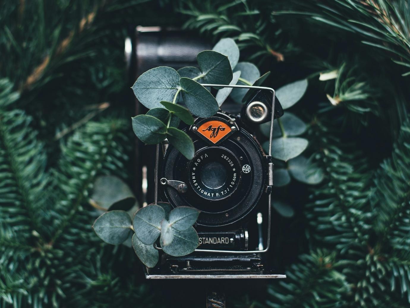 An old, vintage camera