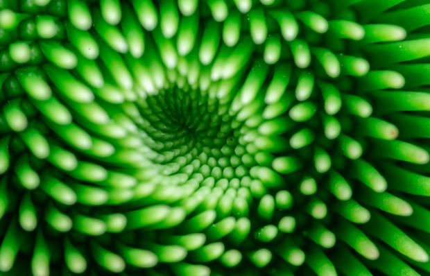 Radial symmetrical photography