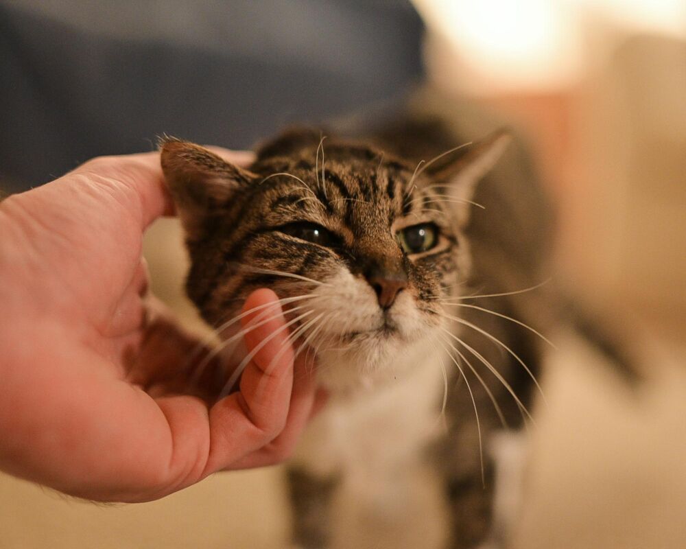 Photographer using Zoner Studio for creative editing