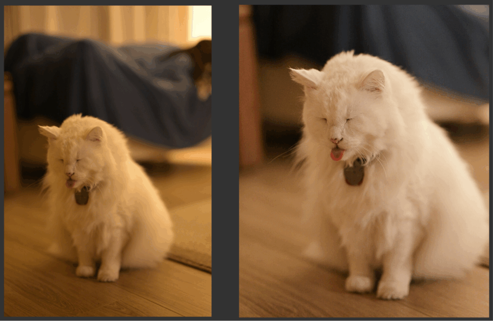 Before and after split view comparison in Zoner Studio