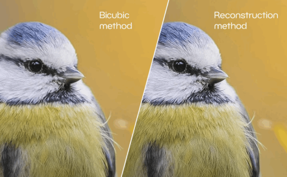 AI Resize tool for upscaling images in Zoner Studio